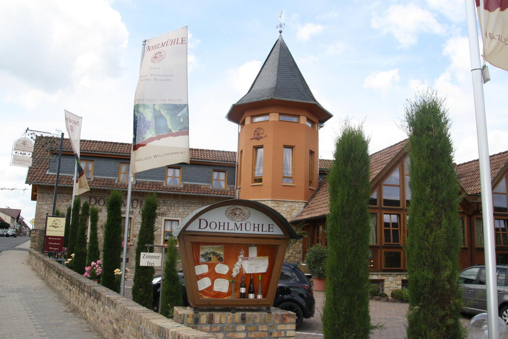 Dohlmuehle Hotel & Weingut Flonheim Bagian luar foto