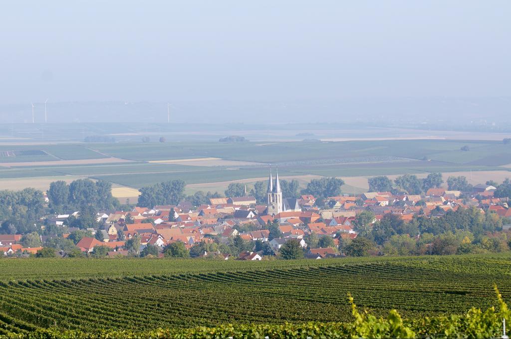 Dohlmuehle Hotel & Weingut Flonheim Bagian luar foto