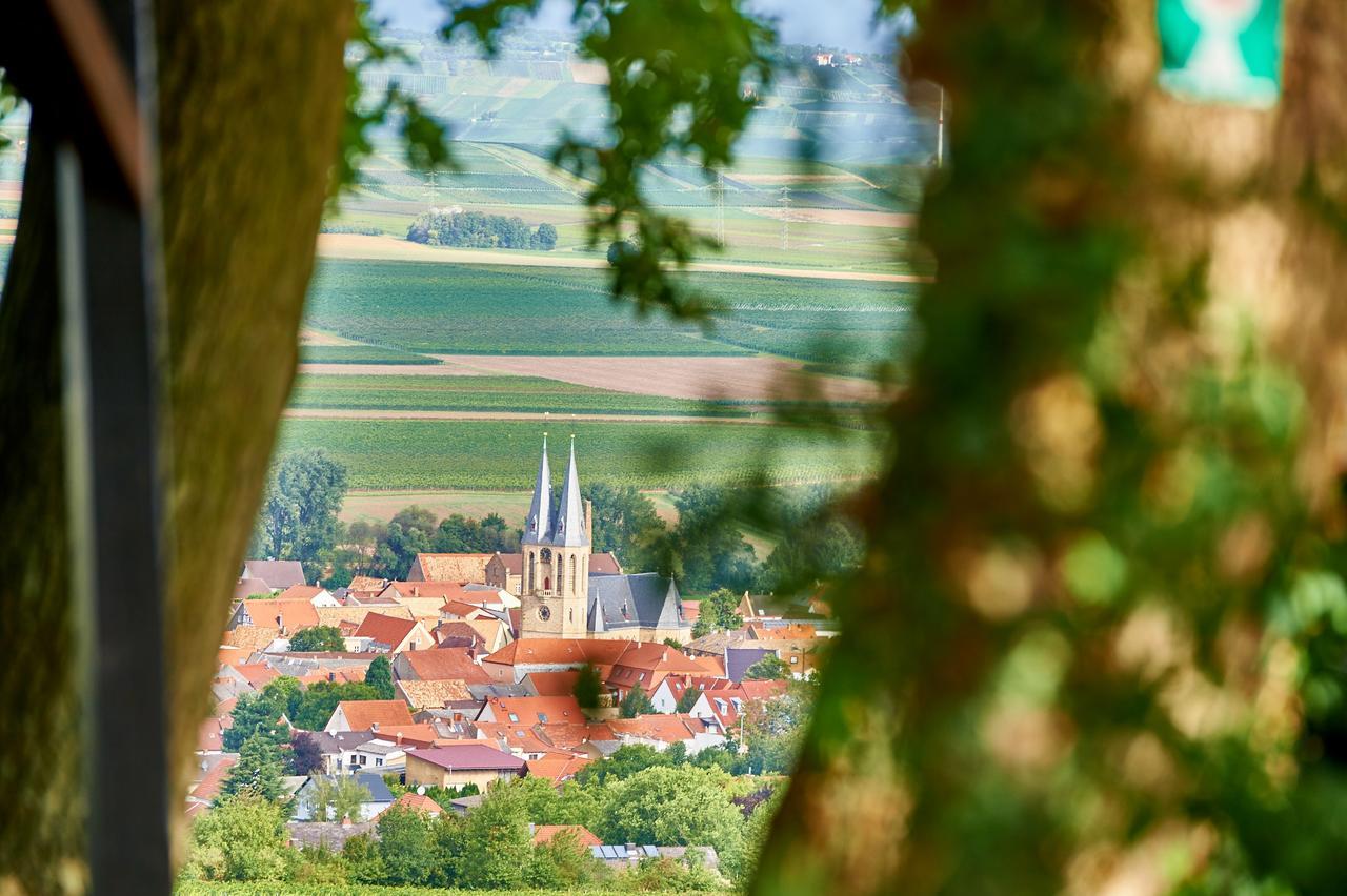 Dohlmuehle Hotel & Weingut Flonheim Bagian luar foto