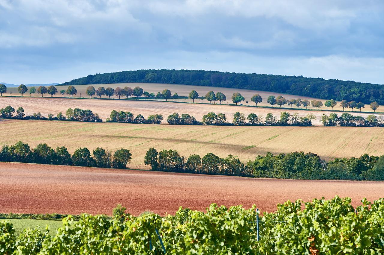 Dohlmuehle Hotel & Weingut Flonheim Bagian luar foto