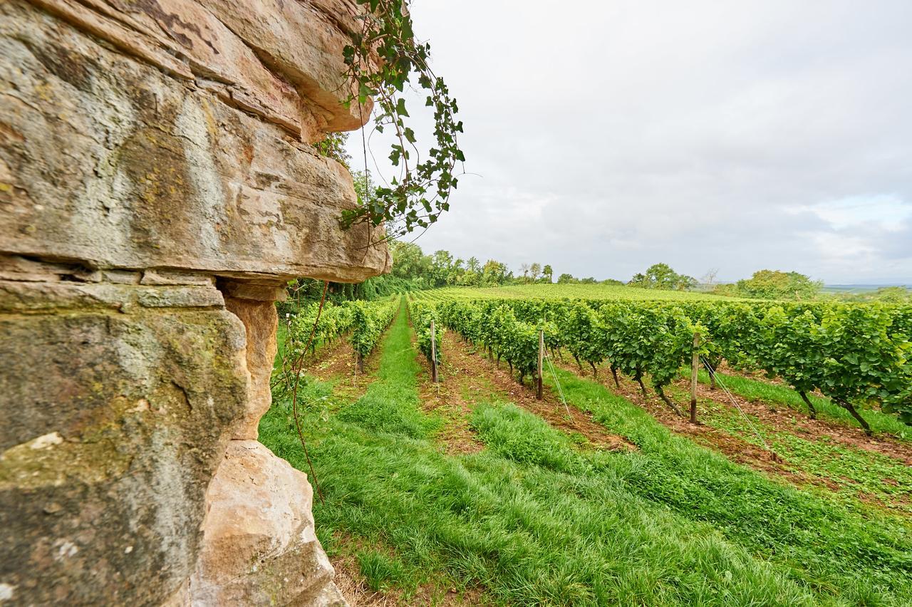 Dohlmuehle Hotel & Weingut Flonheim Bagian luar foto